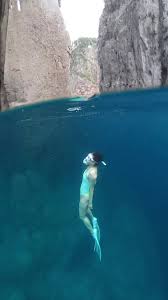 관음도 &ndash; 중상급자 스쿠버의 천국 (출처:나무위키/틱톡)