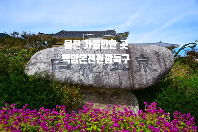 울진 백암온천 원탕고려호텔 숙박 온천 후기_2