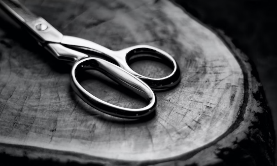 김근식-화학적-거세-추진