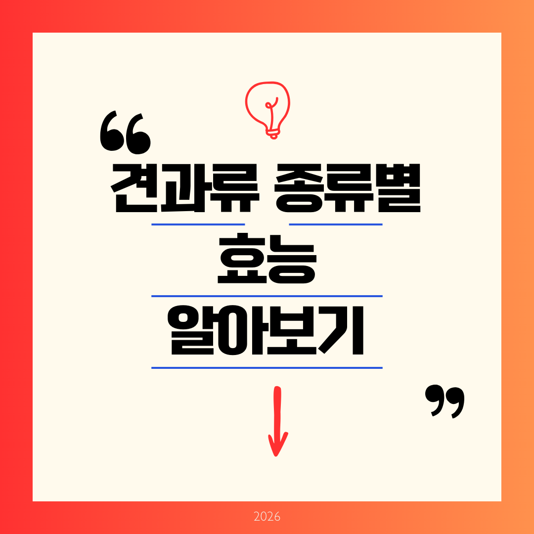 견과류 종류별 효능 알아보기