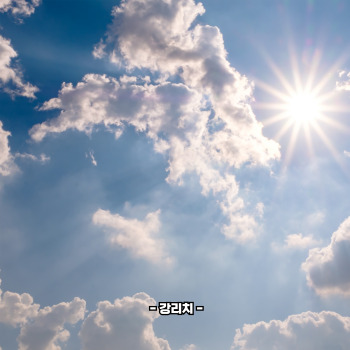 비타민D 부족증상