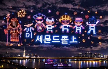 불꽃축제 티켓예매 실패자 대처법