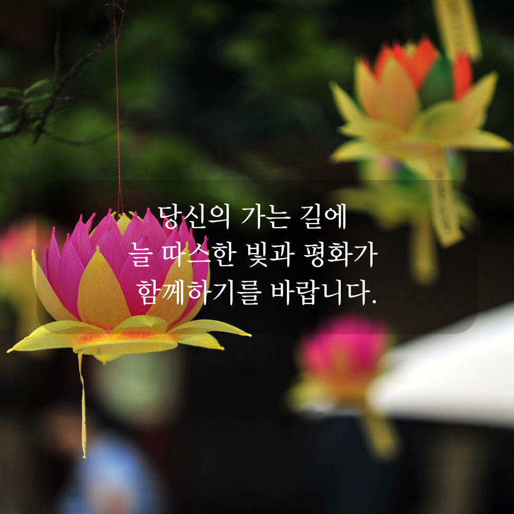 부처님 오신 날 인사말 문구 이미지 석가탄신일 사진 글귀 불상