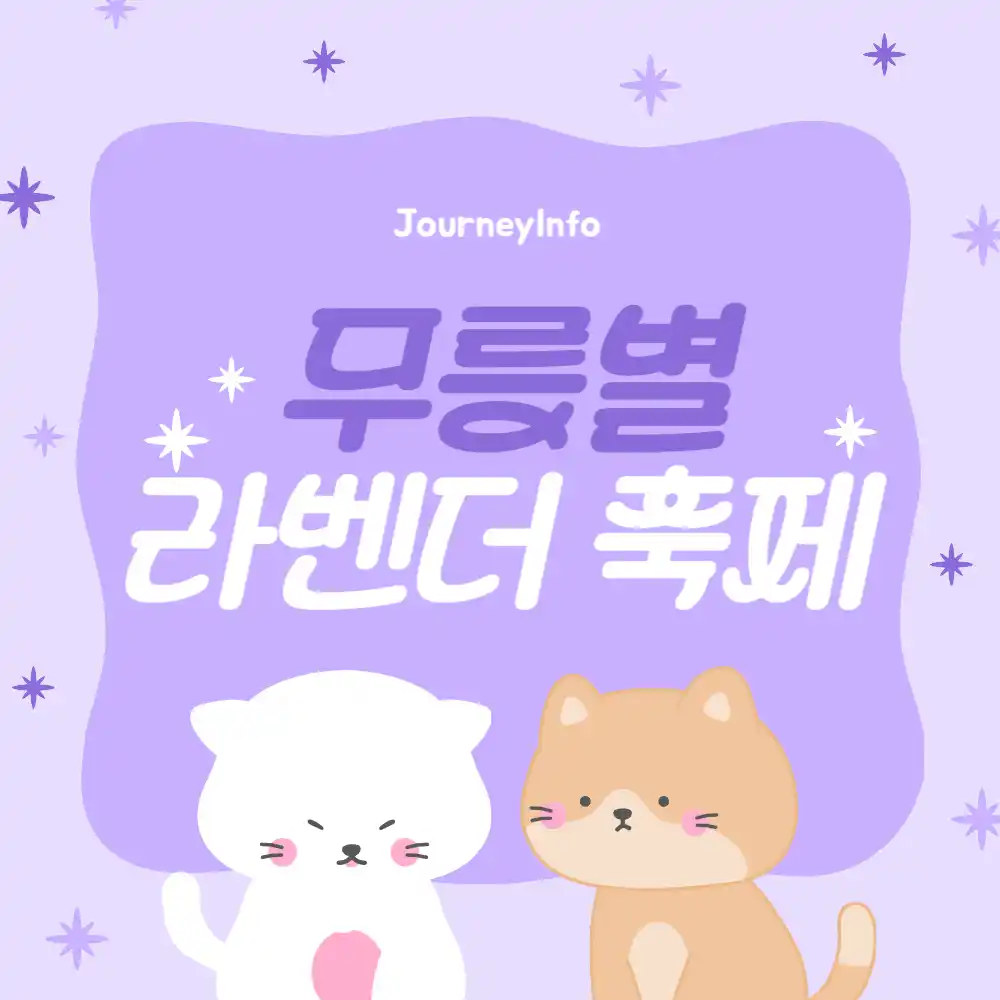 동해 라벤더 축제 무릉별유천지