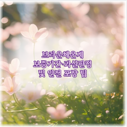 브라운체온계 보증기간·과실판정 및 안전 포장 팁