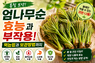 봄철 건강 엄나무순의 효능과 부작용! 먹는법과 보관방법까지