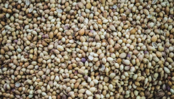 햄프씨드 효능 : 비타민