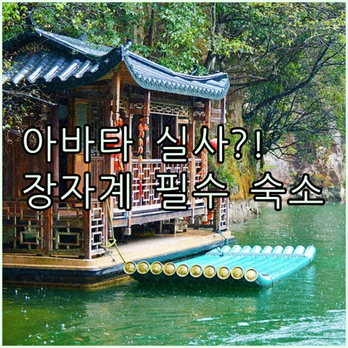 아바타 속 풍경이 내 눈앞에 펼쳐지는..