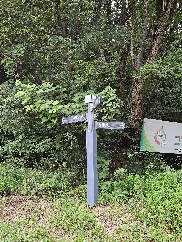 임도길을 따라올라오면 마스코트 옆에 이정표