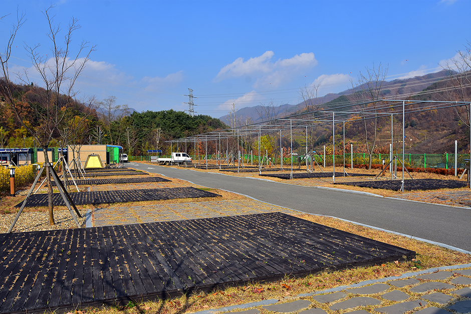 사과테마파크 오토캠핑장