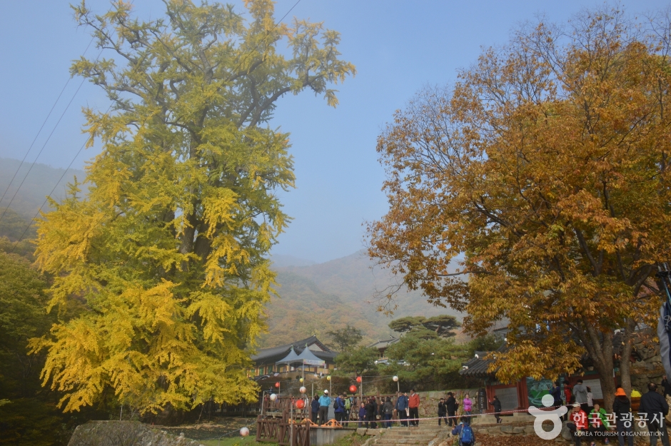 예천 가볼만한곳 베스트10