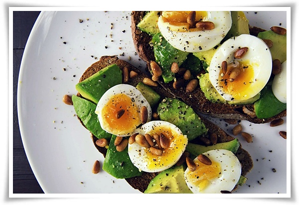 정원 "아보카도 키우기" 씨앗 하나로 나만의 초록 오아시스!