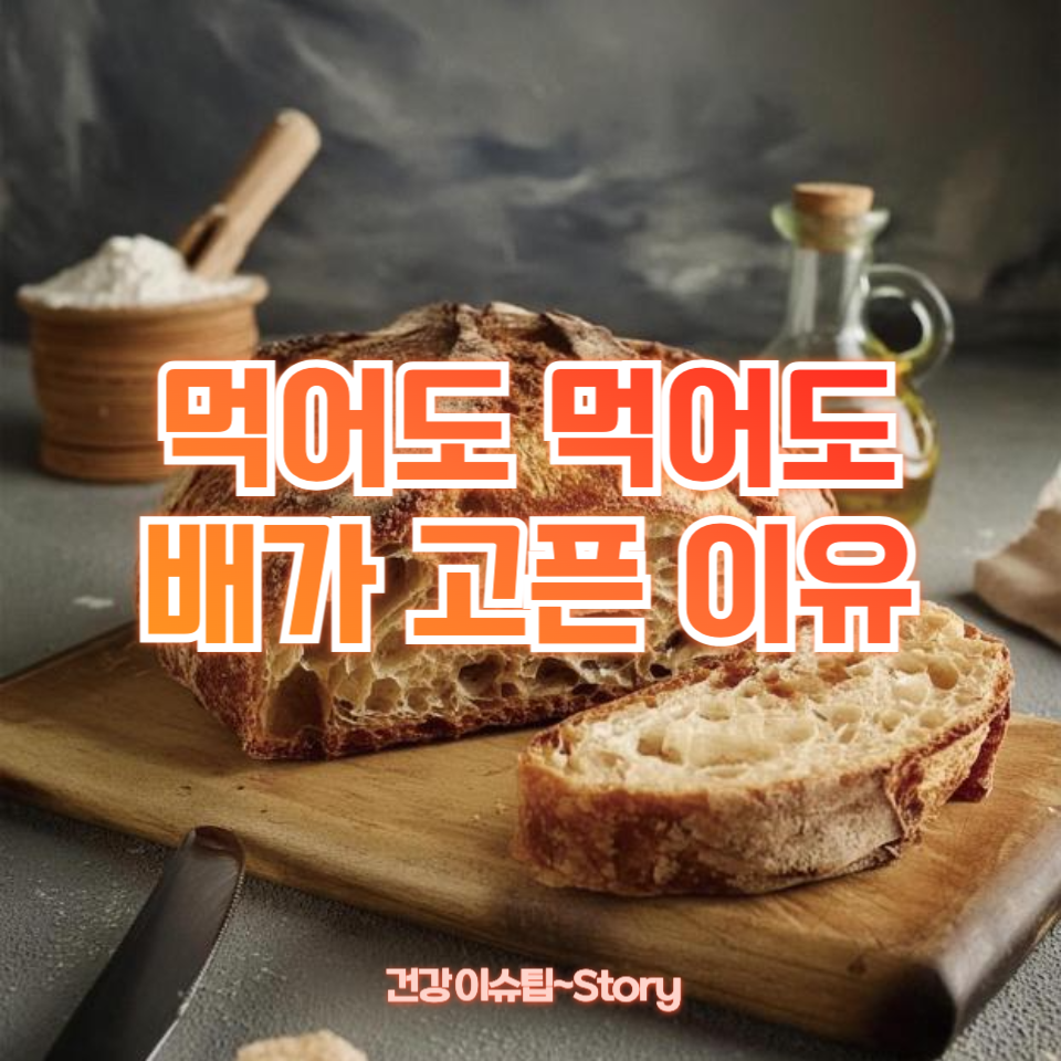 먹어도 먹어도 배가 고픈 이유