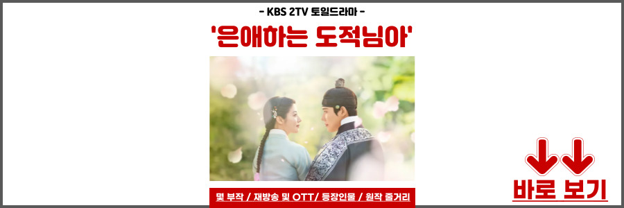 은애하는 도적님아