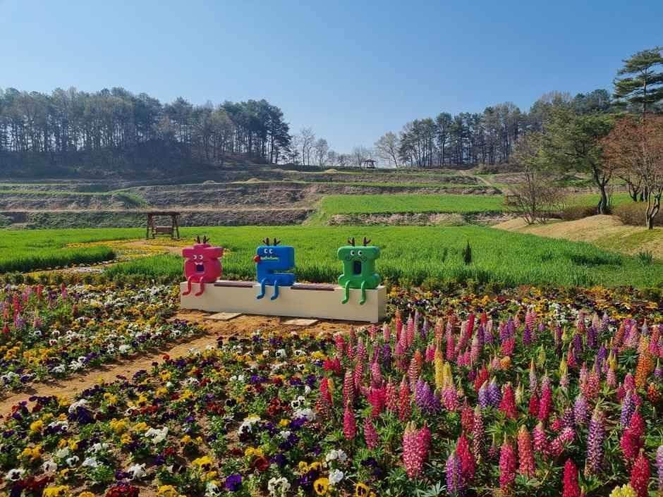 회룡포 봄나들이 축제 2026
