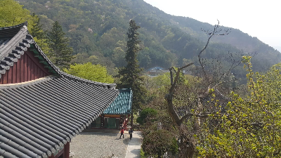 절
