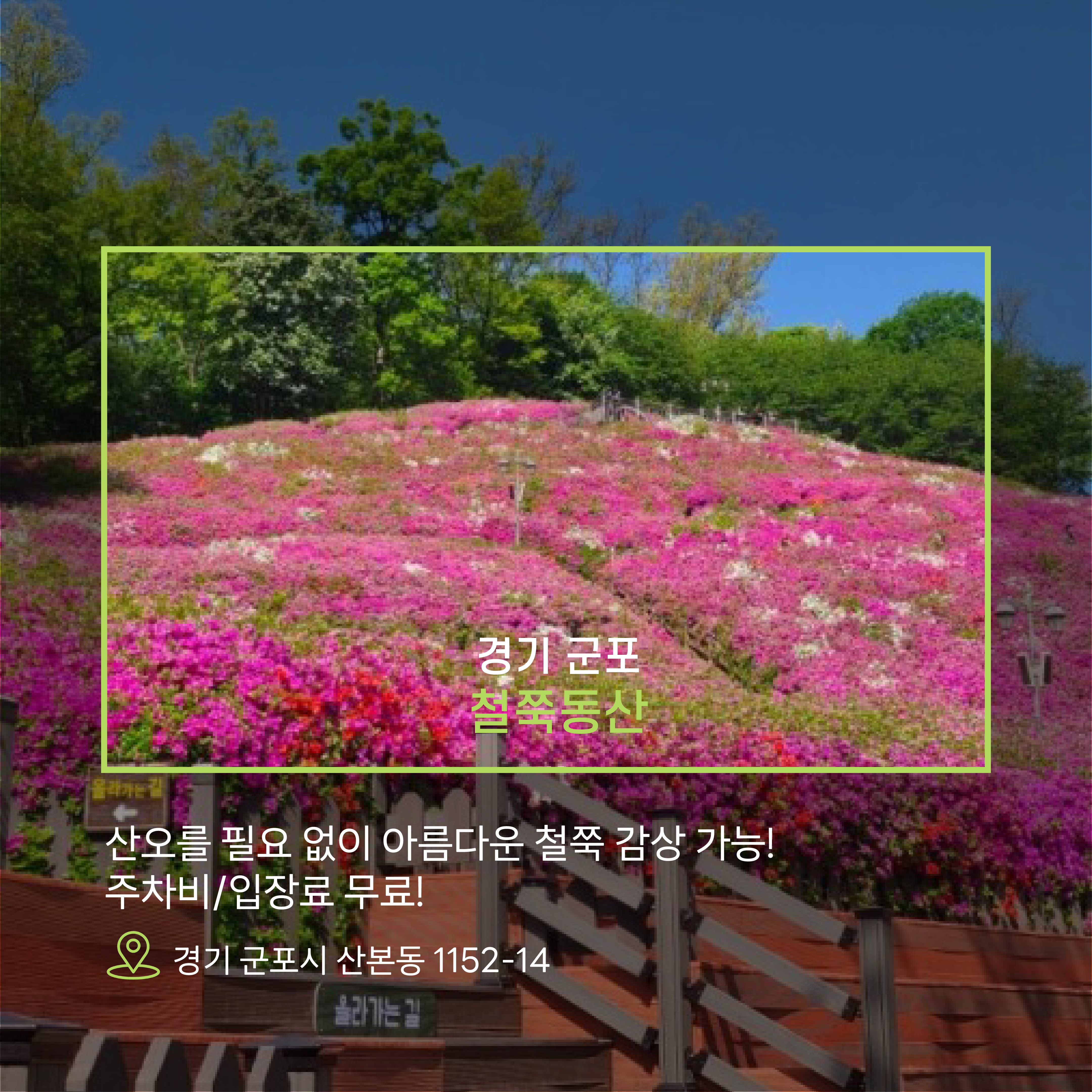 경기군포철쭉동산