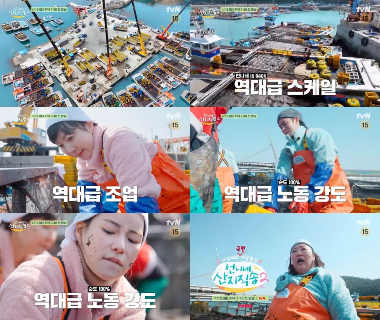 언니네 산지직송 시즌2