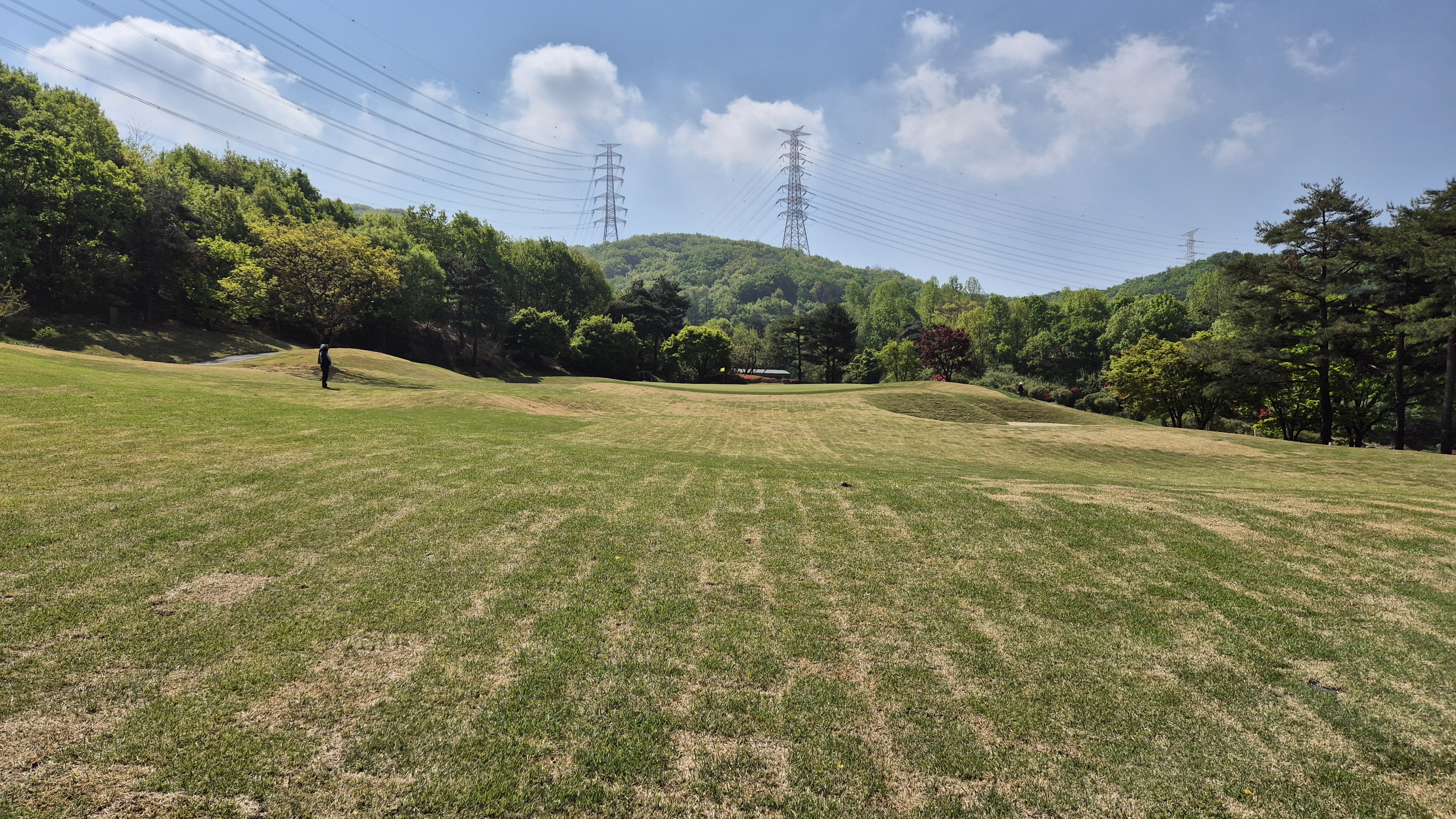 마에스트로cc 코스