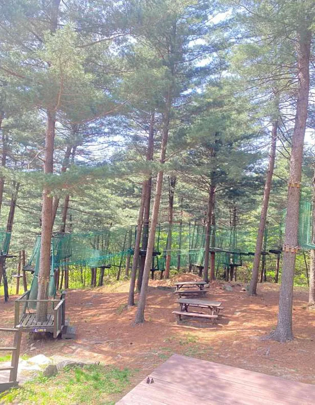 두루웰자연휴양림