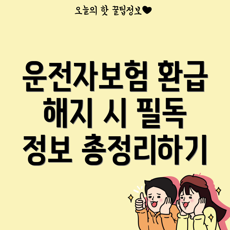 운전자보험 해지 환급금