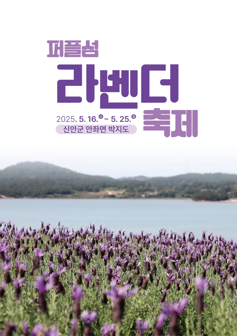 2025 퍼플섬 라벤더 축제 이미지