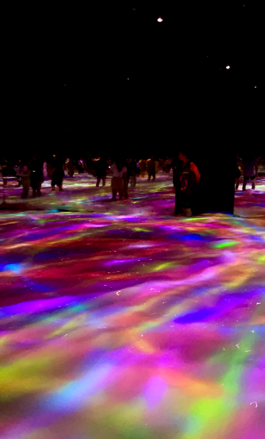 일본 도쿄 팀랩 플래닛 여행-사람과 함께 춤추는 잉어가 그리는 수면 위의 드로잉