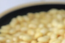 장 건강에 좋은 유산균