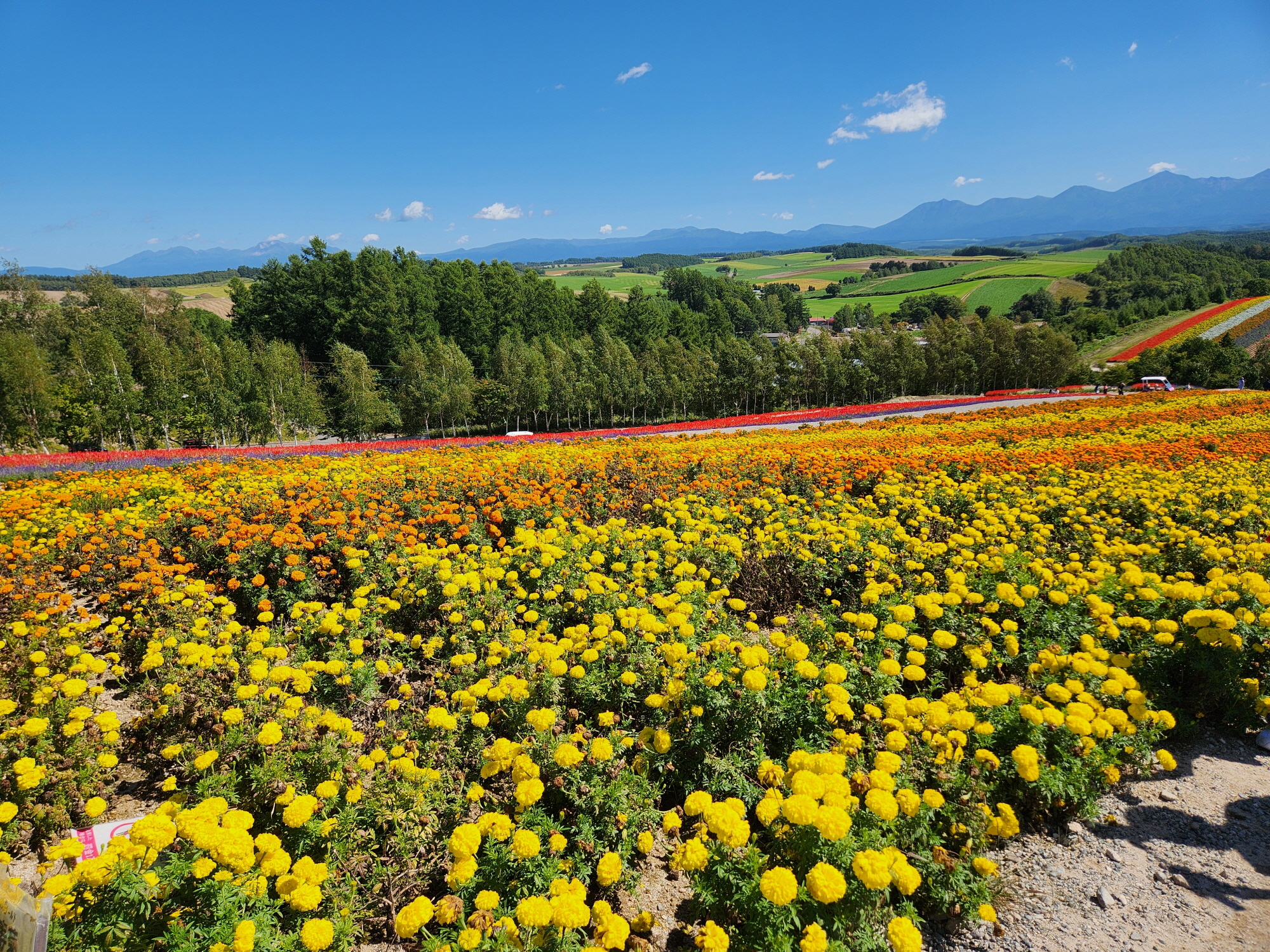 사계체 언덕 - 19