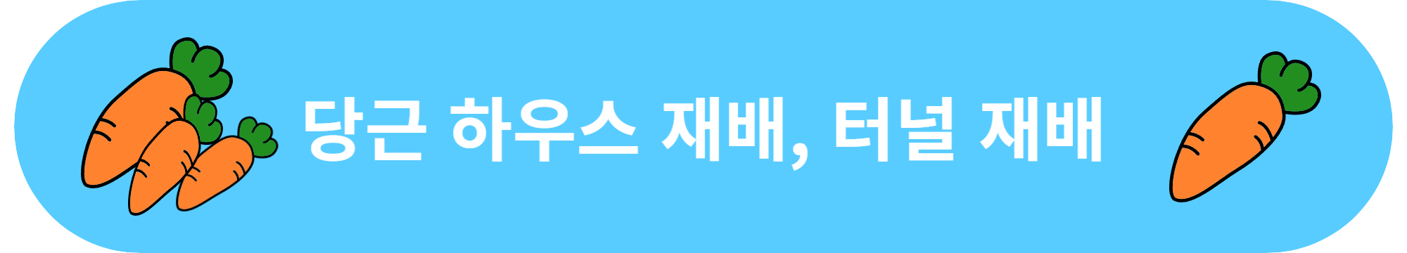 당근 하우스 재배, 터널 재배