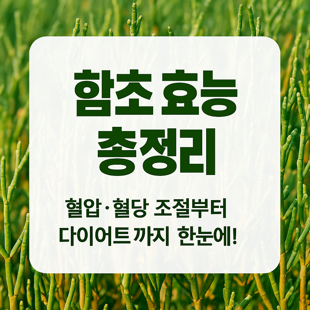 함초 효능 총정리 혈압·혈당 조절부터 다이어트까지 한눈에 보기