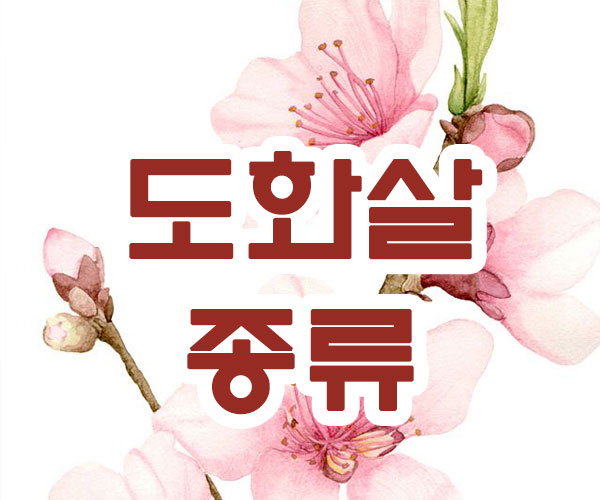 도화살 종류 썸네일