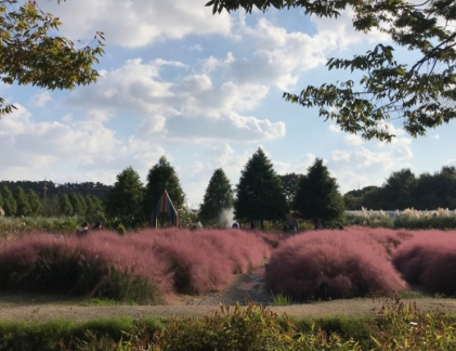 태안 청산수목원 여행지