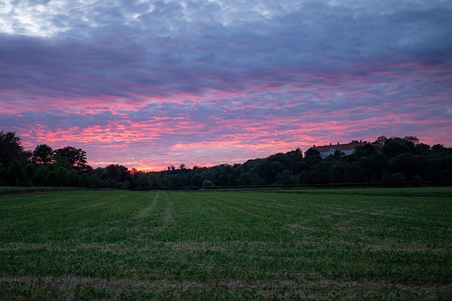 걷고 생각하고 회복하기