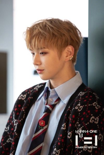워너원 고화질 사진 워너원 고화질 사진