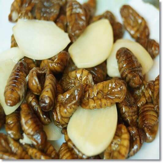 번데기탕 만들기