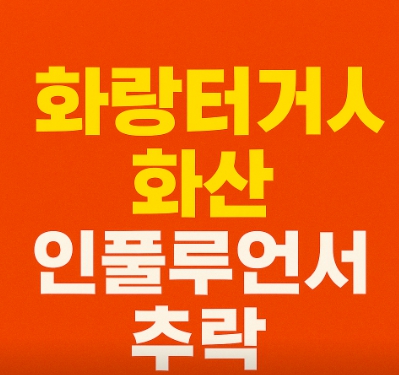 인플루언서의 마지막 인스타그램 스토리 이미지