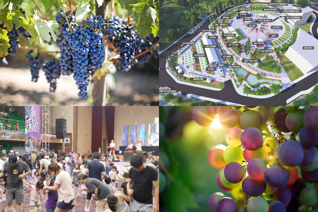 제19회 영동 포도축제 일정