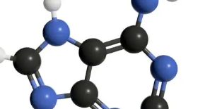 퓨린의 정의&amp;#44; 식이요법&amp;#44; 통풍과의 연관성 총 정리 (2025 최신)