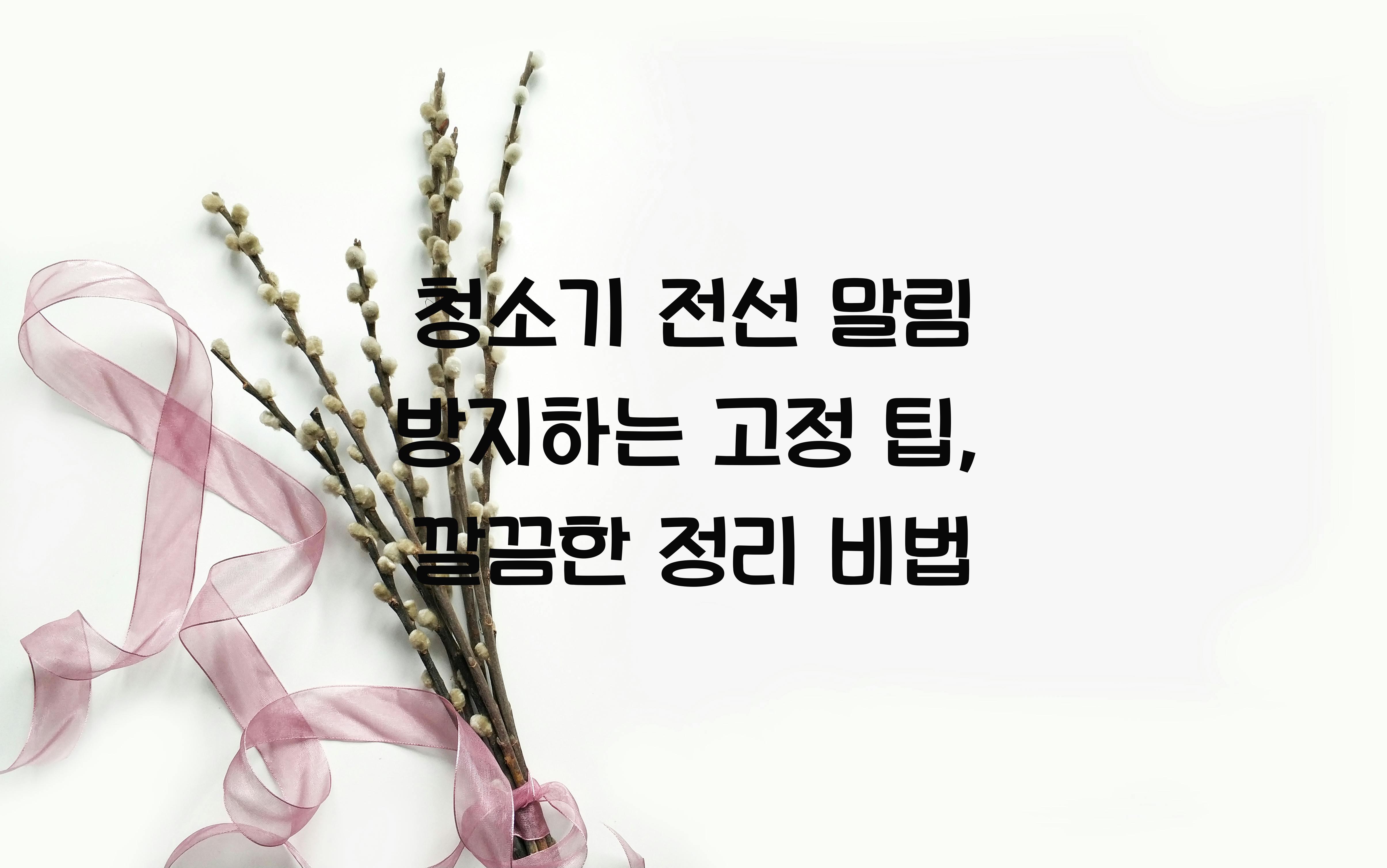 청소기 전선 말림 방지하는 고정 팁