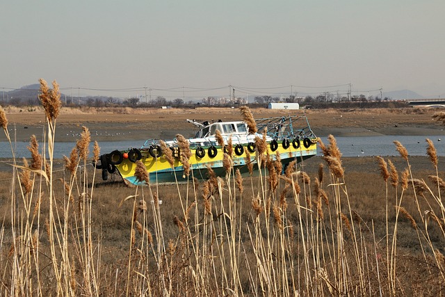 미세먼지대응방법