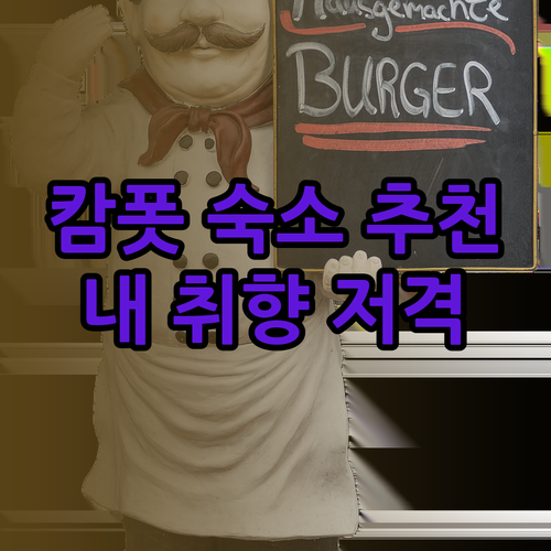 캄폿 숙소 고민 끝 럭셔리부터 감성 
