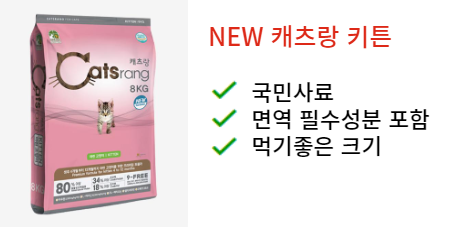 새끼고양이 사료 추천