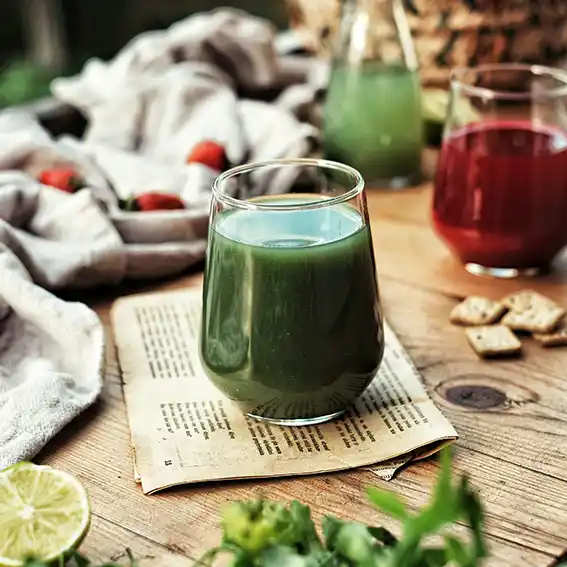 녹즙의 대사 작용과 체중 감량 기전