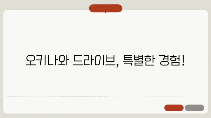 오키나와 렌트카, 직접 몰아야 더 재밌다! 저렴하게 빌리고 안전하게 운전하는 법