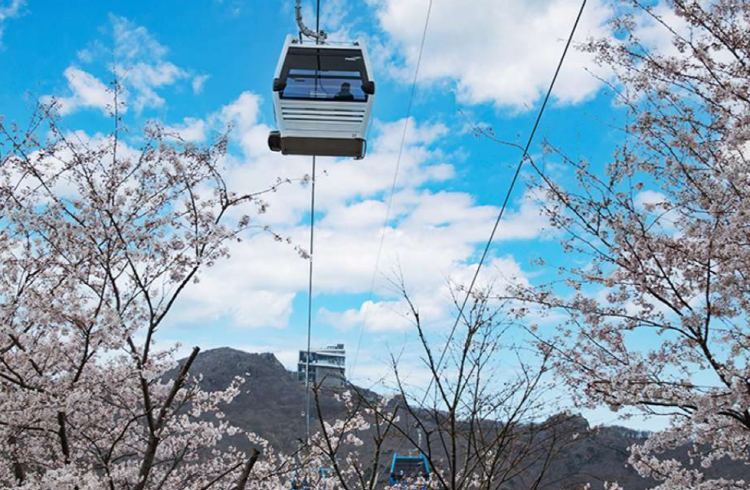 거제 파노라마 케이블카