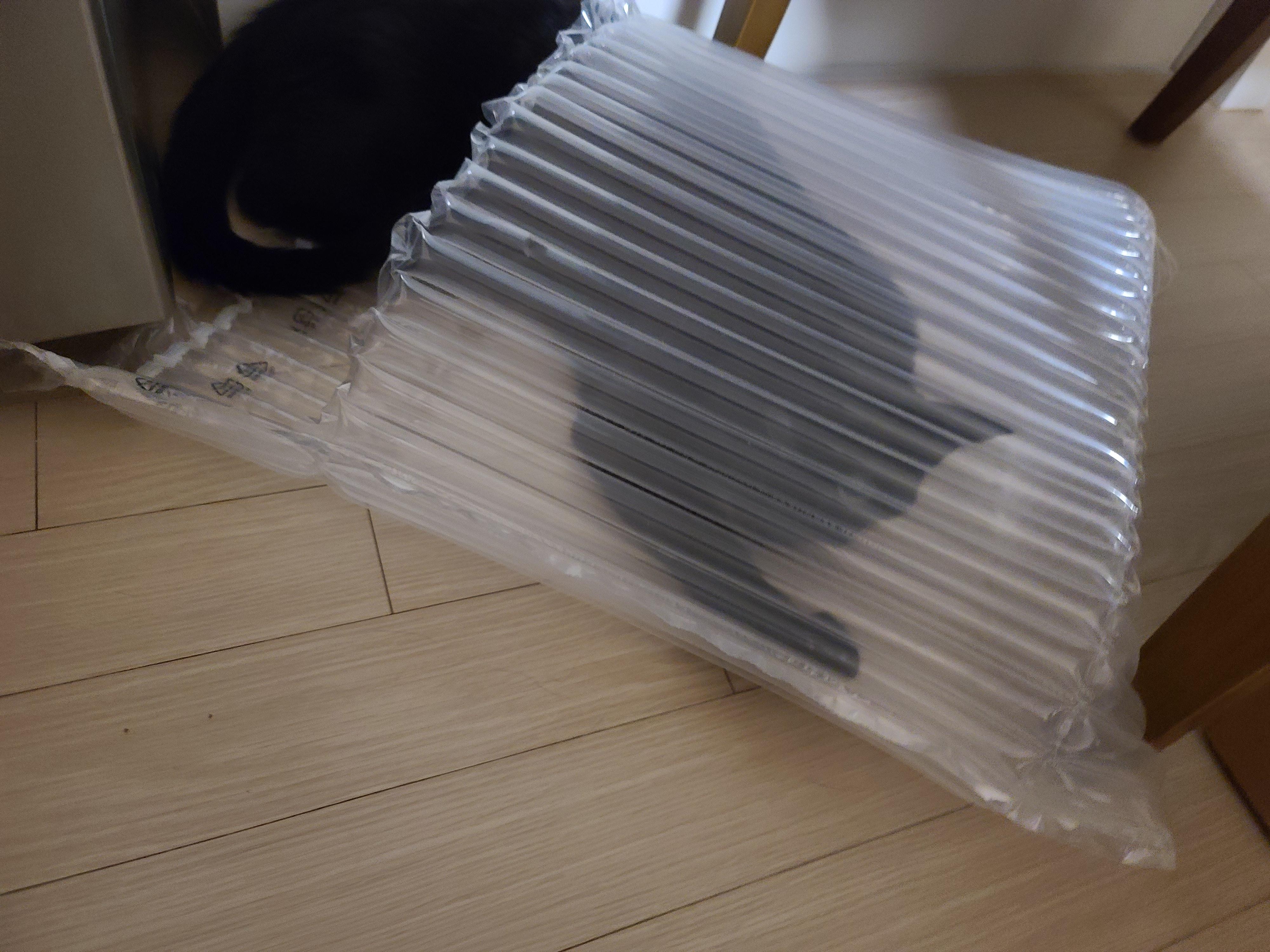 택배를 시켰는데 고양이 장난감이 왔다. 생활속 장난감.