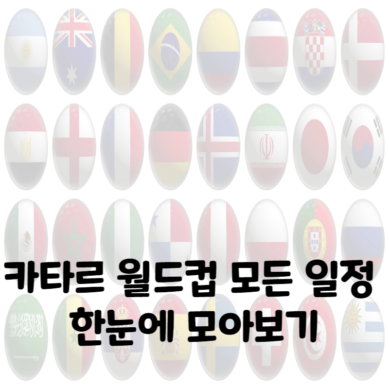 카타르월드컵