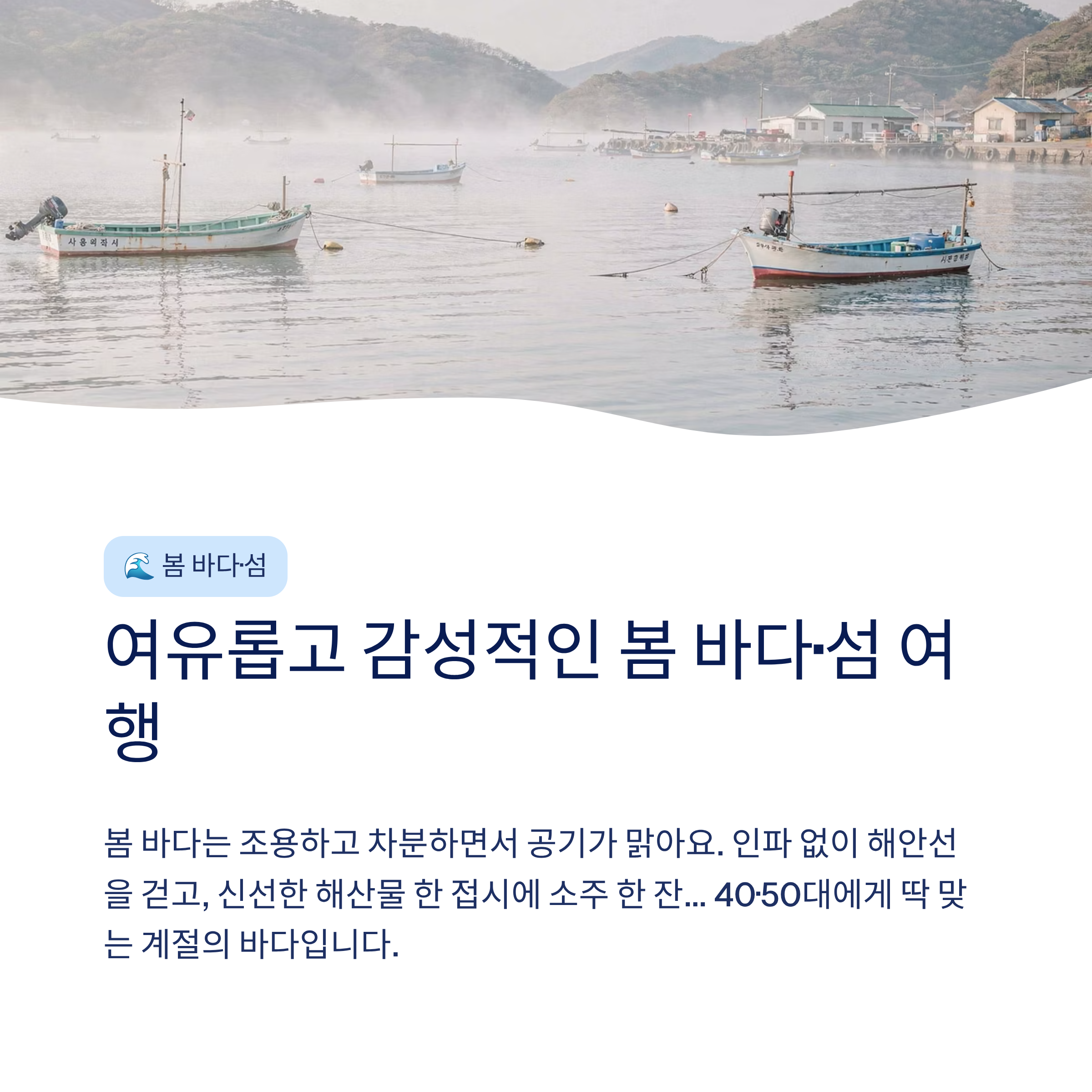 봄 국내 여행지 추천 – 40·50대가 진짜 좋아하는 가볼만한곳 총정리