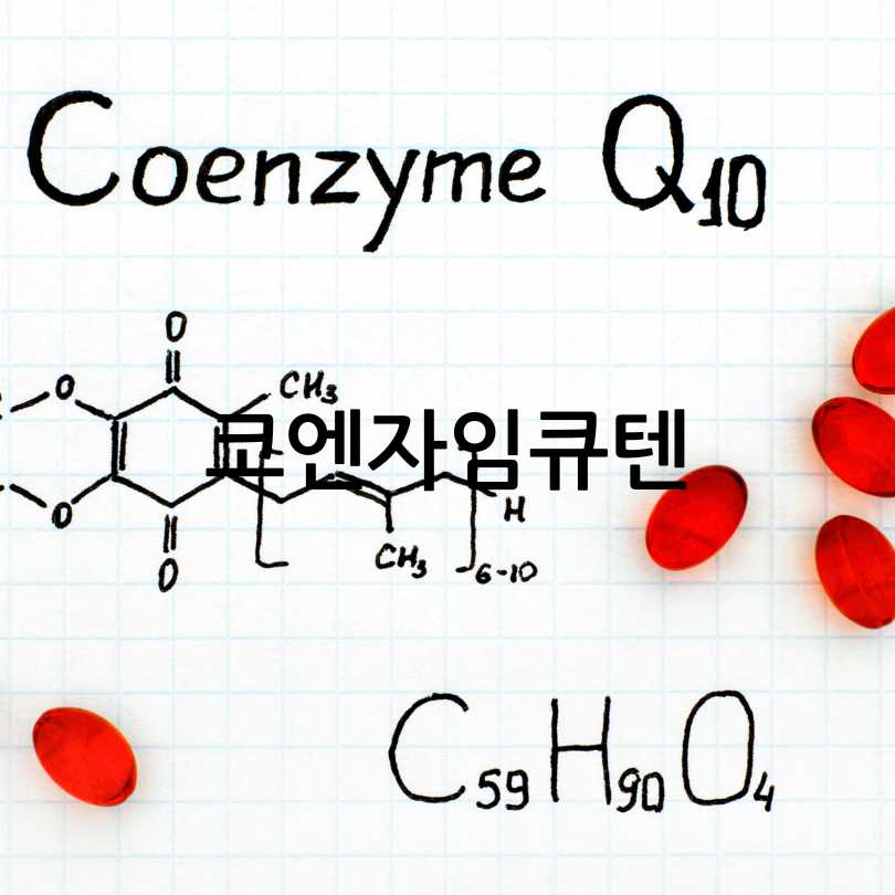 노인 영양제 추천